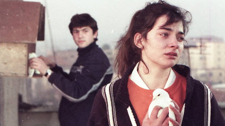 кадр из фильма Një djalë edhe një vajzë