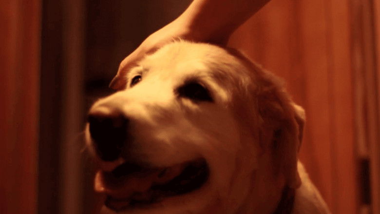 кадр из фильма Starr Farm