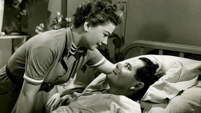 кадр из фильма Follow the Sun