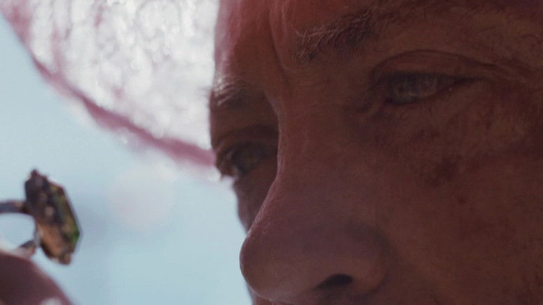 кадр из фильма Лебединая песнь