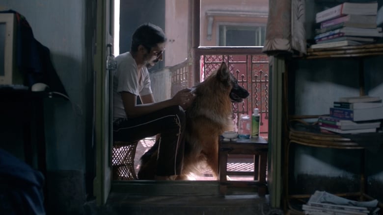 кадр из фильма মায়ানগর