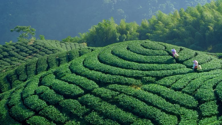 кадр из фильма 美力台灣3D