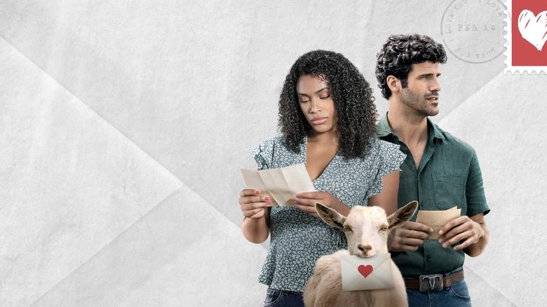 кадр из фильма 14 Love Letters