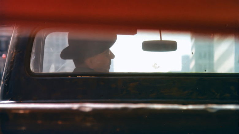 кадр из фильма In No Great Hurry: 13 Lessons in Life with Saul Leiter