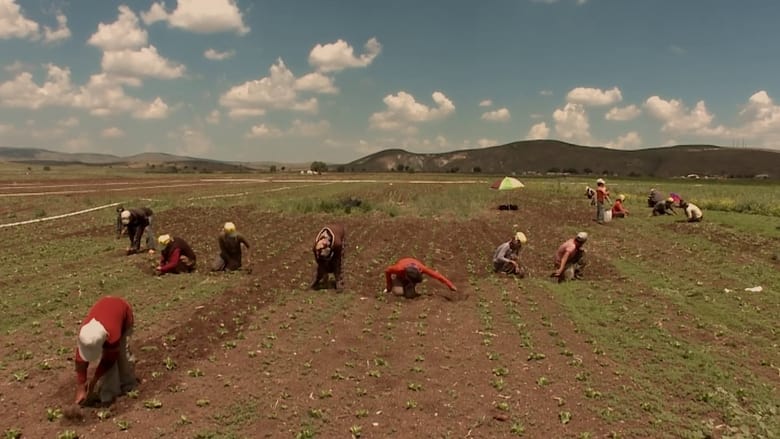 кадр из фильма He bû tune bû