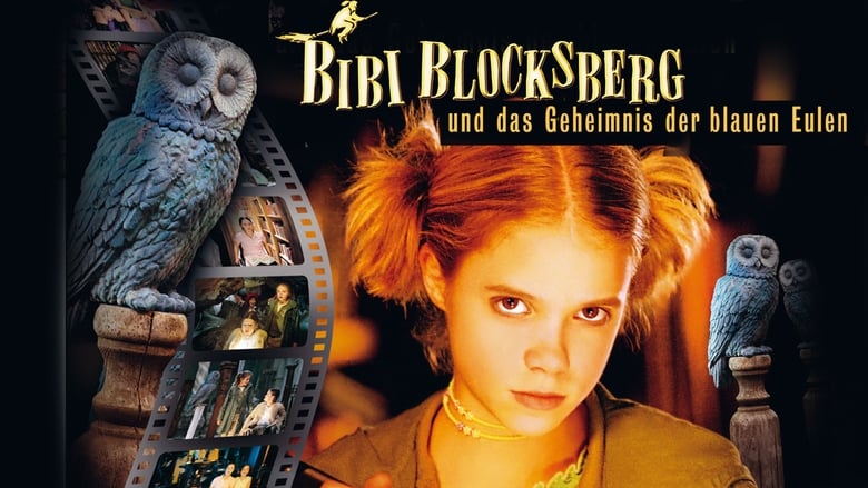 кадр из фильма Биби – маленькая волшебница и тайна ночных птиц