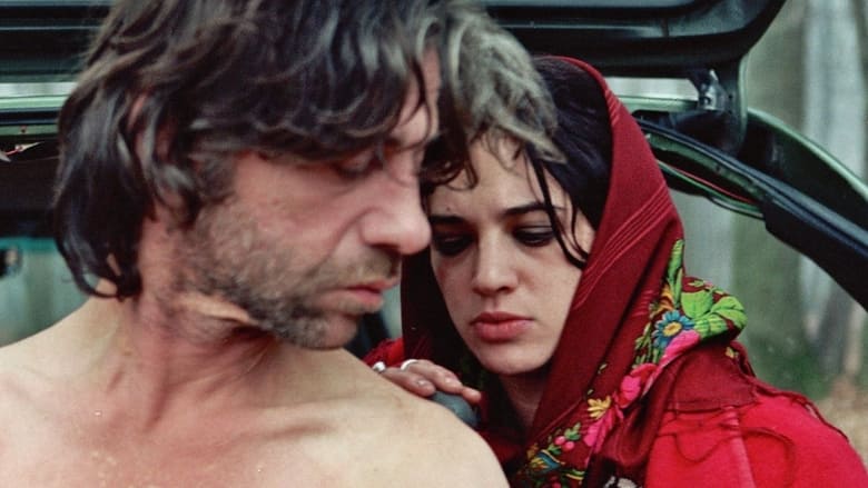 кадр из фильма Трансильвания