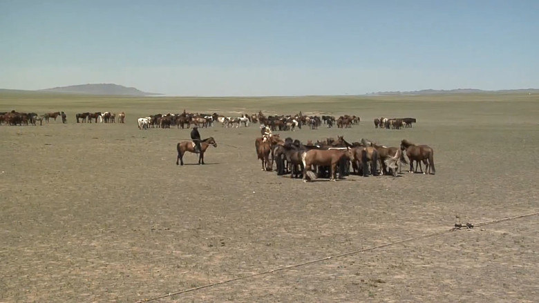 кадр из фильма Үхэл амьдралын заагт