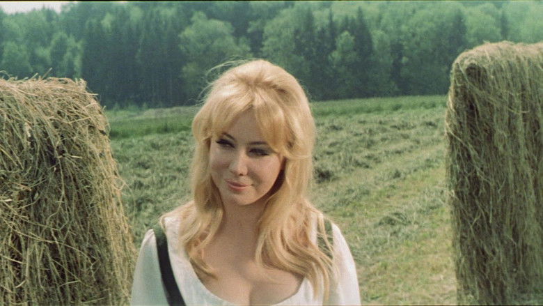 кадр из фильма Племянницы госпожи полковницы