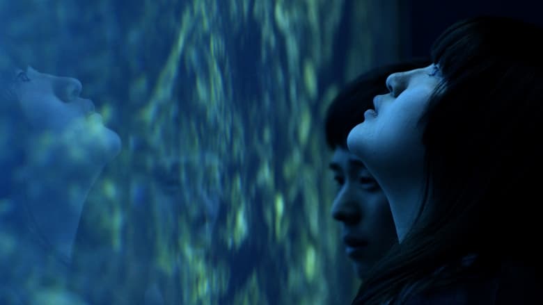 кадр из фильма All of Our Heartbeats Are Connected Through Exploding Stars