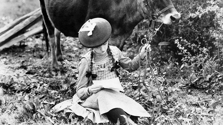 кадр из фильма True Heart Susie