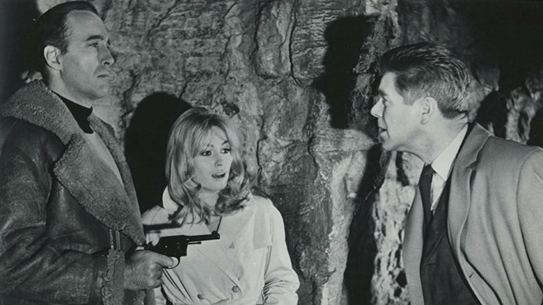 кадр из фильма Цирк страха