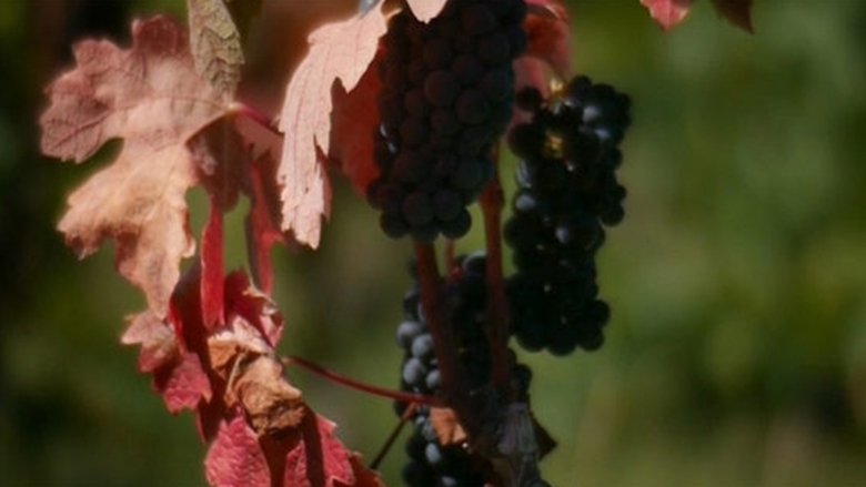 кадр из фильма L'âge d'or