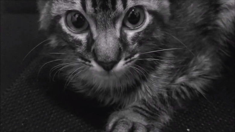 кадр из фильма O manifesto da ansiedade