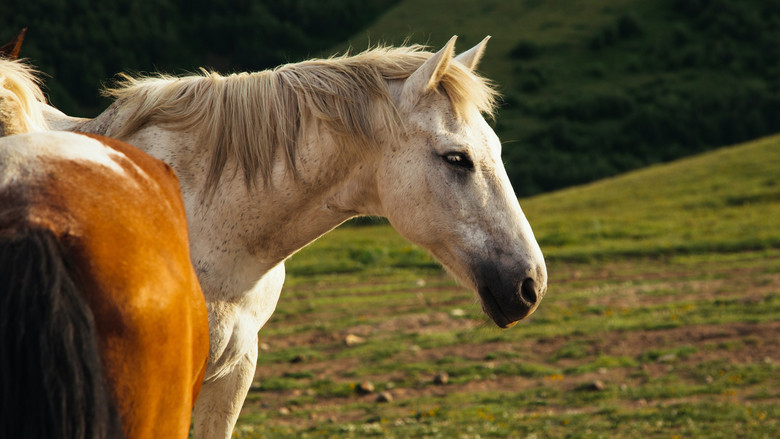 кадр из фильма Astral