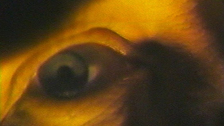 кадр из фильма Highway Hypnosis