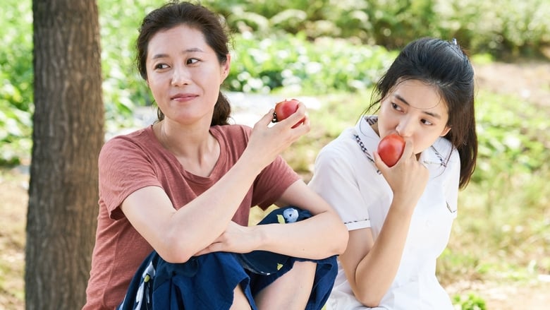 кадр из фильма Маленький лес