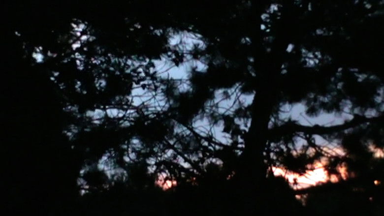 кадр из фильма storm