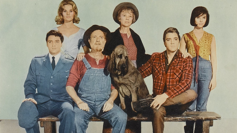 кадр из фильма Целуя кузин