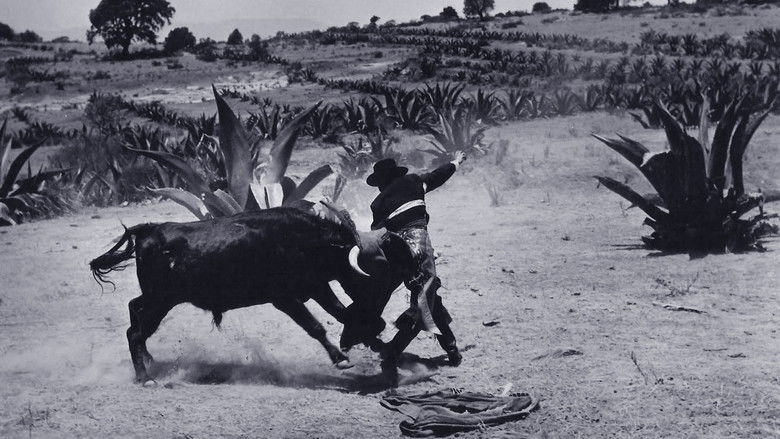 кадр из фильма Love Has Many Faces