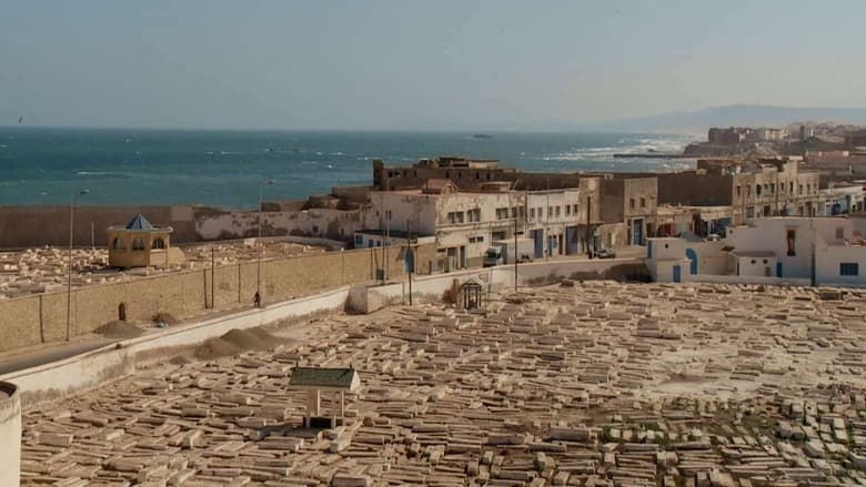 кадр из фильма Ziyara