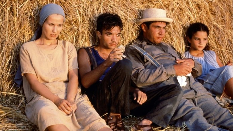 кадр из фильма Le nombril du monde