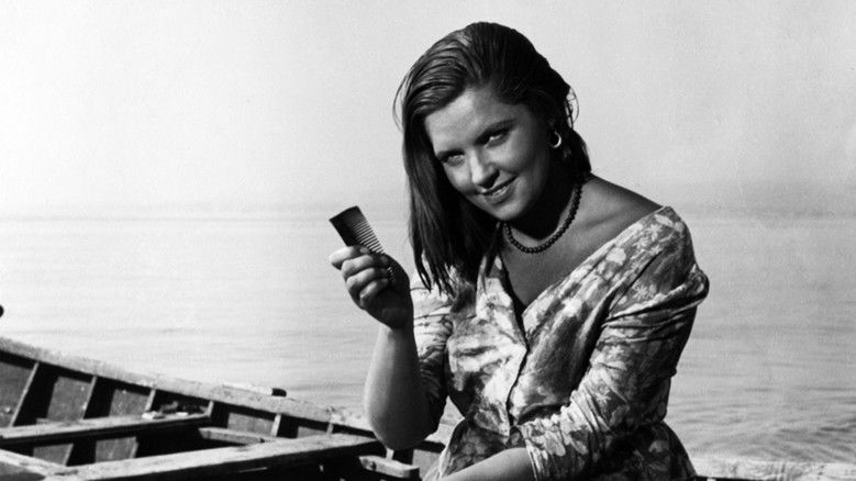 кадр из фильма Мальва