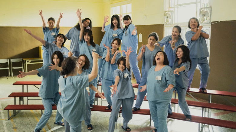 кадр из фильма 陽光女子合唱團