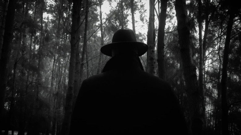 кадр из фильма Misplaced