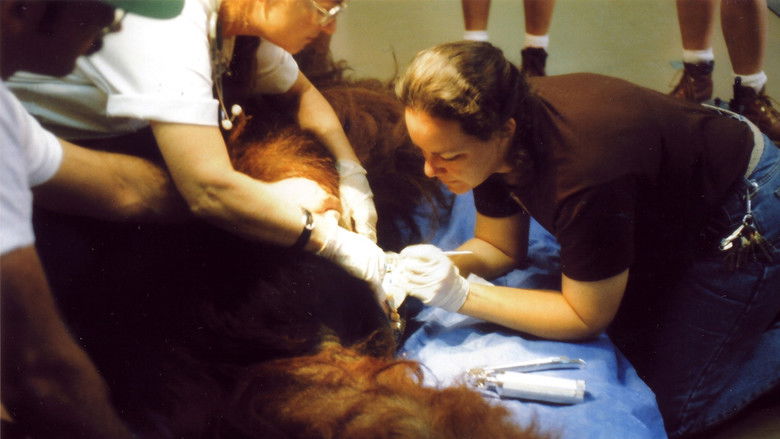 кадр из фильма Zoo