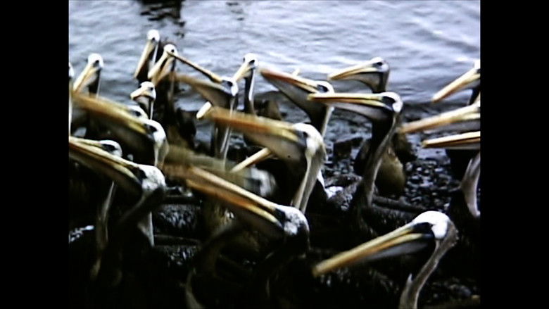 кадр из фильма El Perú es un lugar para morir