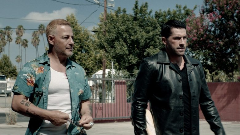 Коллекторы 2