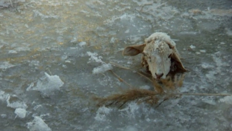 кадр из фильма Ավետիք