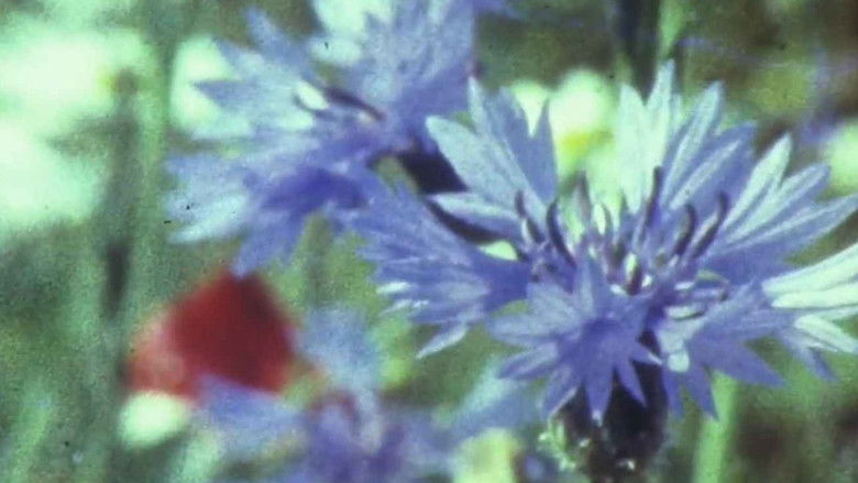 кадр из фильма Мої вихідні