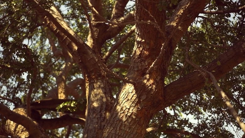 кадр из фильма End The