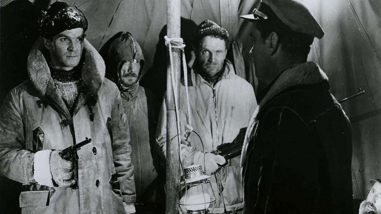 кадр из фильма Hell Below Zero