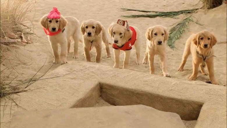 кадр из фильма Пятерка кладоискателей