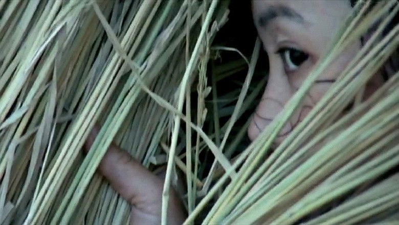 кадр из фильма 湘女萧萧