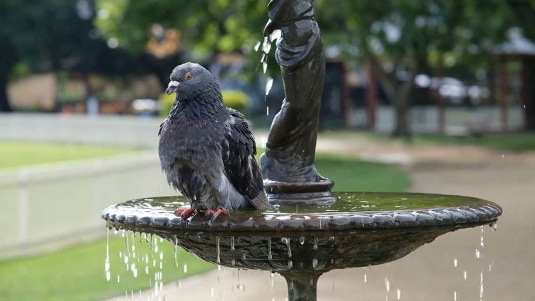 кадр из фильма Mechanisms