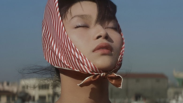 кадр из фильма Моё лицо пылает в лучах заходящего солнца