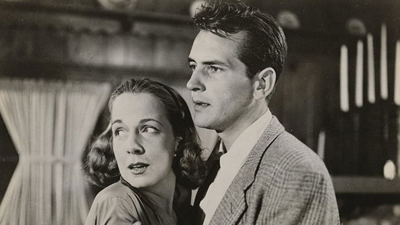 кадр из фильма The Night Holds Terror