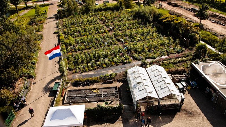 кадр из фильма De schooltuin