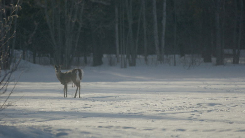 кадр из фильма Dream Eater