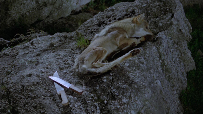 кадр из фильма Dalla nube alla resistenza