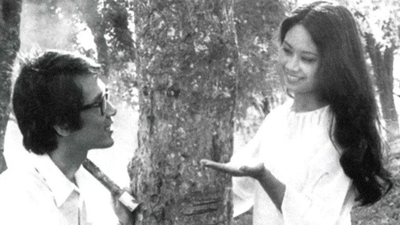 Thị xã trong tầm tay