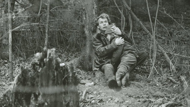 кадр из фильма Árnyék a havon