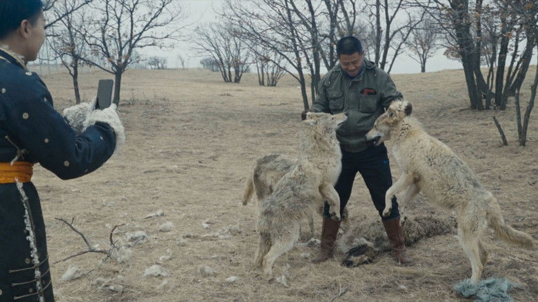 кадр из фильма Animality