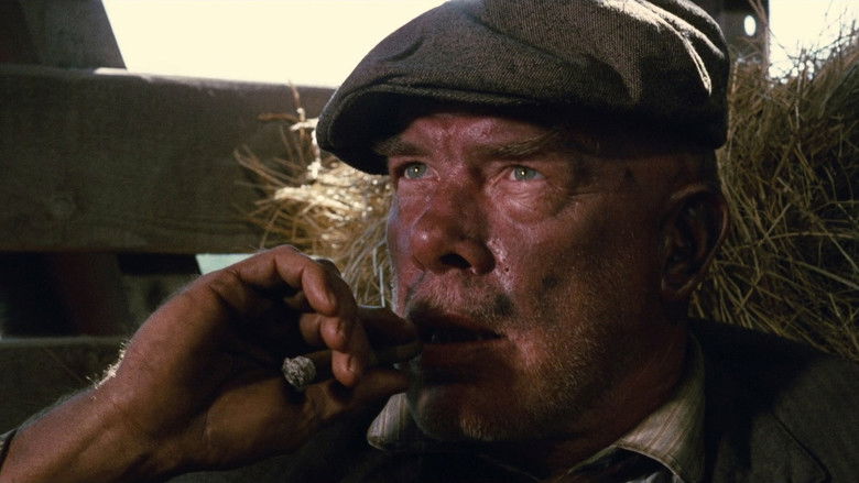 кадр из фильма Император севера