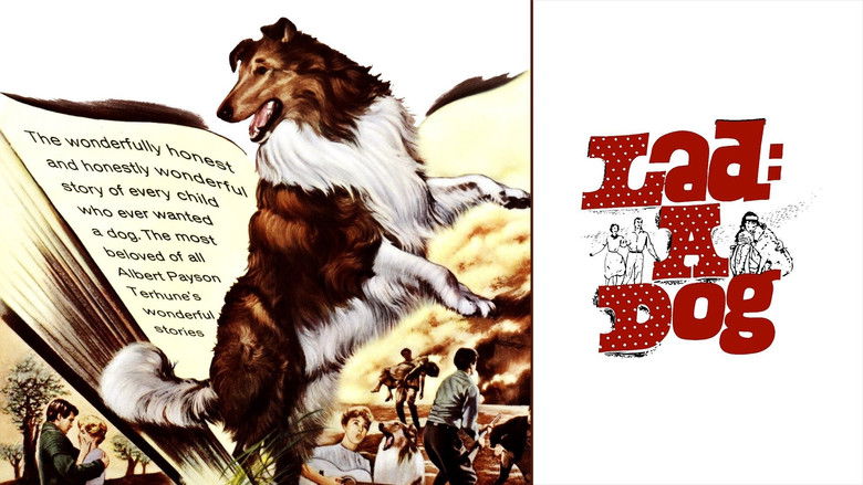 кадр из фильма Lad: A Dog