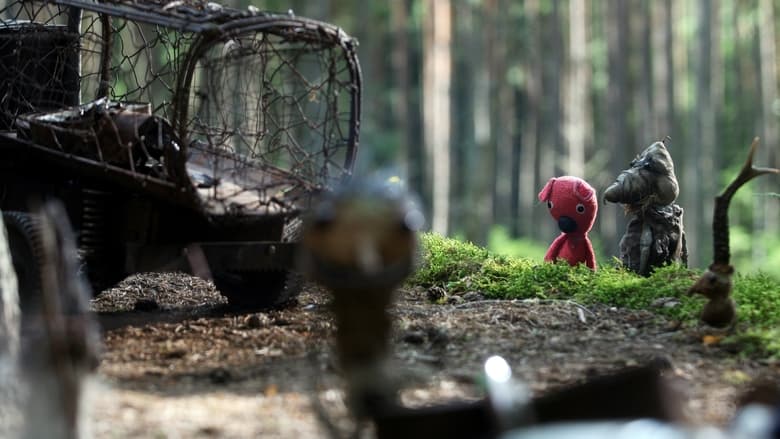 Куки возвращается